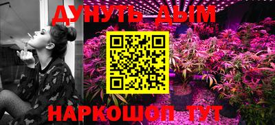 мдпв Гусев