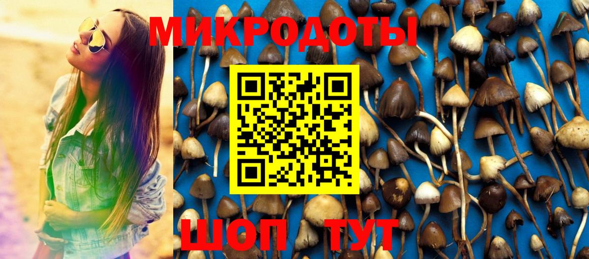 Псилоцибиновые грибы Cubensis Семёнов