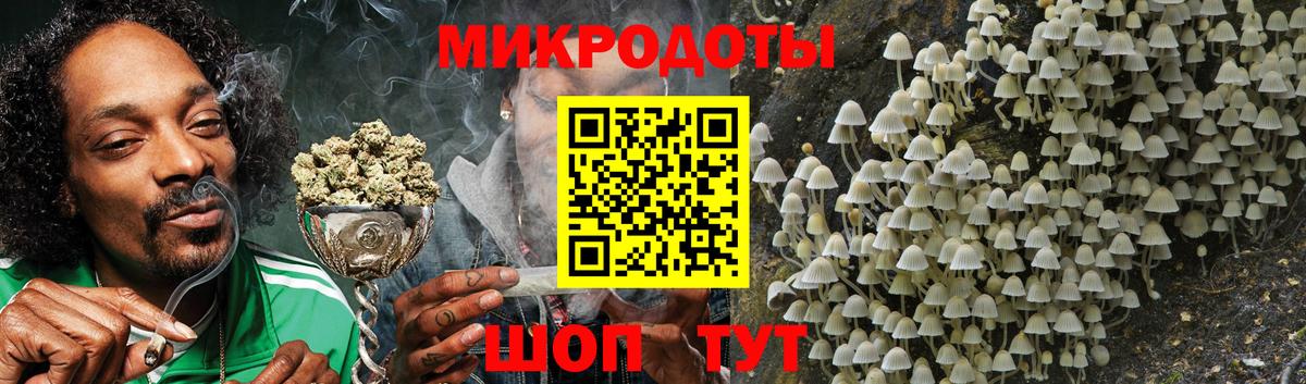 Семёнов  Галлюциногенные грибы Psilocybine cubensis  Псилоцибиновые грибы Psilocybine cubensis  Вход с VPN 
